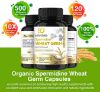 Picture of Spermidine Wheat Germ Extract Capsules, 120 Vegan Capsules, Spermidine Supplement for Antioxidant and Immune Support, Cell Renewal and Increases Energy, 1500mg Per Serving