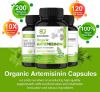 Picture of Artemisinin, 120 Vegan Capsules, Sweet Wormwood Extract, Support Healthy Aging, Digestion and Immunity, Promote Cell Repair and Liver Treatment